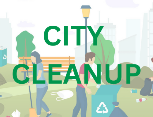 Join our Riley Park clean up with the City on March 11th!